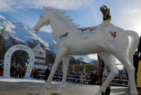 White Turf Zuoz Pferd white-turf-2017-top5-lyceum-alpinum-zuoz-prix-d-honneur