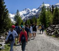 Wilderness Walk2